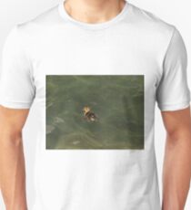 fuzzy duck men s t shirts redbubble