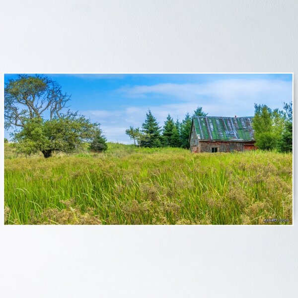 Item preview, Abandoned House in Feltzen South designed and sold by kenmo.