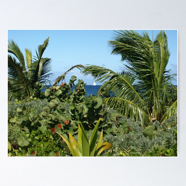 Item preview, Inbetween the palms - Sandy Island, Carriacou designed and sold by moor2sea.