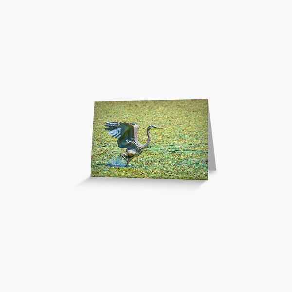 Walking on Water Greeting Card