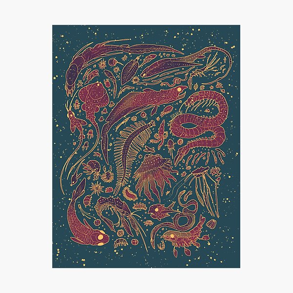 strange sea- opulent Photographic Print