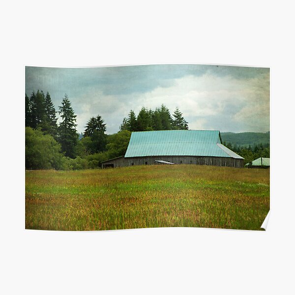 Blue Tin Roof - Chehalis, Wa. Poster