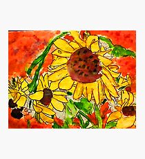 Crazy daisey on orange red backround Photographic Print