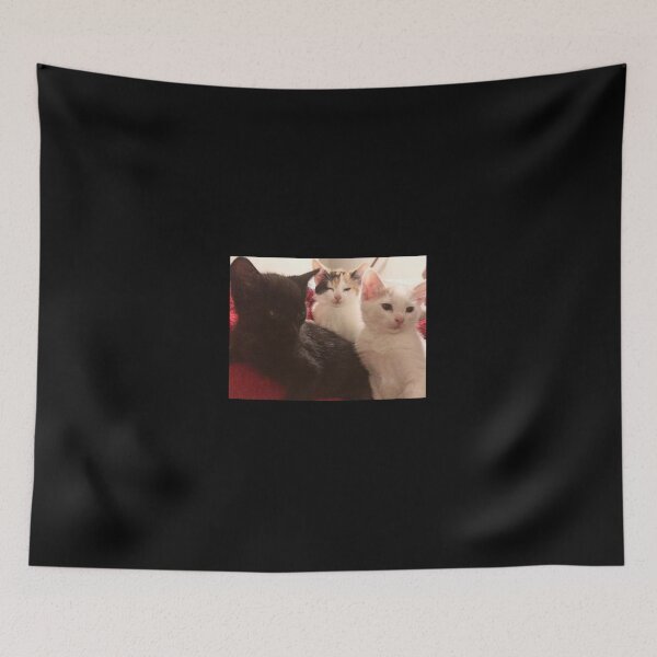 Item preview, ALL the kittens designed and sold by PrissyMarie.