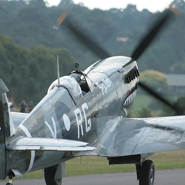 Artwork thumbnail, Spitfire by Shaun O'Malley