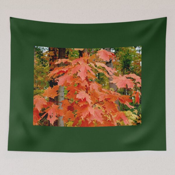 Item preview, Red Maple Leaves designed and sold by Shulie1.