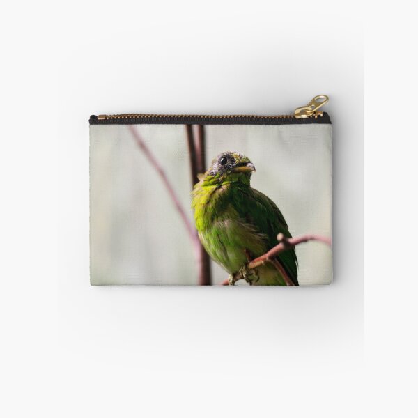 Item preview, Little Green Bird designed and sold by Sarah314.