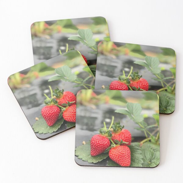 Item preview, Strawberries designed and sold by JPennicott.