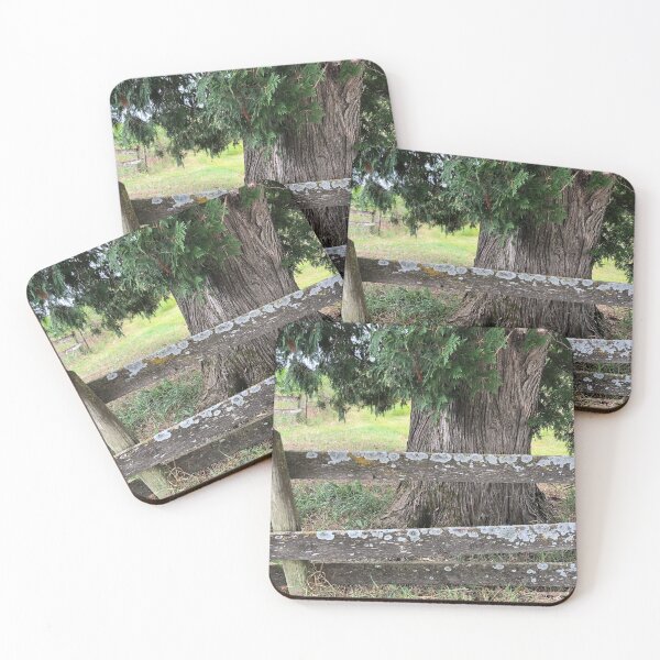 Item preview, Old Fence designed and sold by LadyRachelJ.