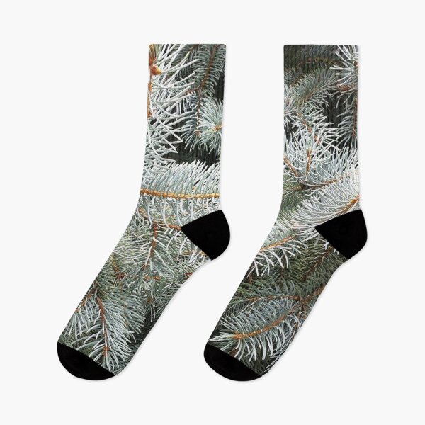 Item preview, Silver Fir from A Gardener's Notebook designed and sold by Douglas E. Welch Design and Photography.