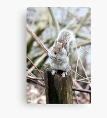 Nudge Nudge Wink Wink Canvas Print