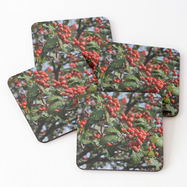 Item preview, Rowan Berries designed and sold by svehex.