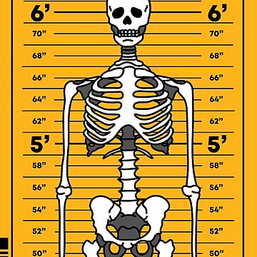 ミュージシャン Tall Tales B2 Poster (Skeleton) Amazon.com: More Tall Tales: A Graphic Novel (BONE Companion