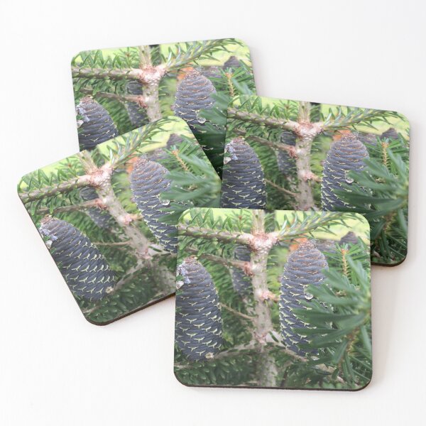 Item preview, New Pinecones designed and sold by LadyRachelJ.