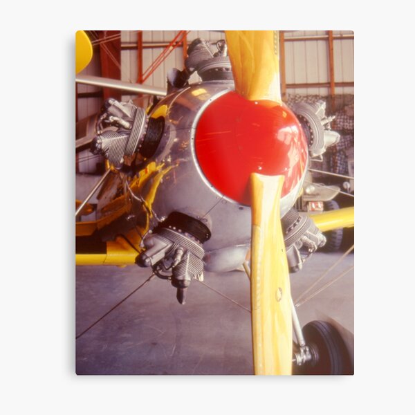 Prop Washed - Ryan PT22 Metal Print