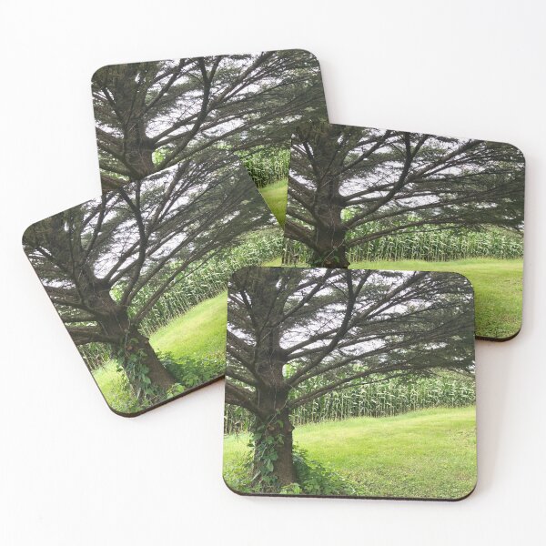 Item preview, Fields of Corn designed and sold by LadyRachelJ.