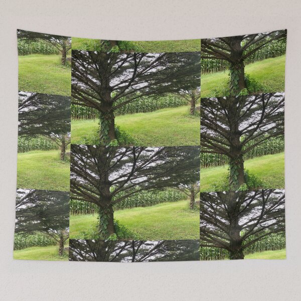 Item preview, Fields of Corn designed and sold by LadyRachelJ.