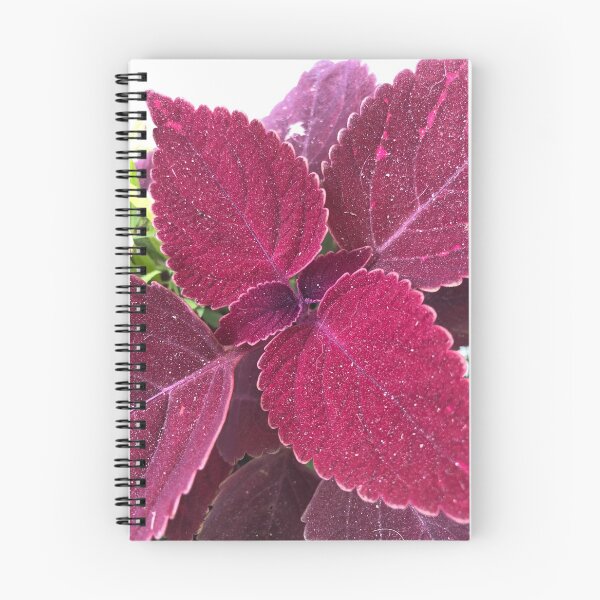 Item preview, Coleus Glorius designed and sold by LadyRachelJ.