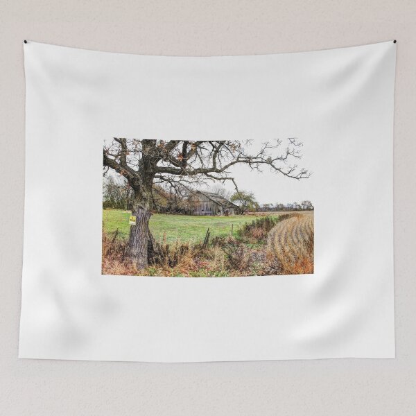 Item preview, "The Knarly Oak Tree" designed and sold by wiscbackroadz.