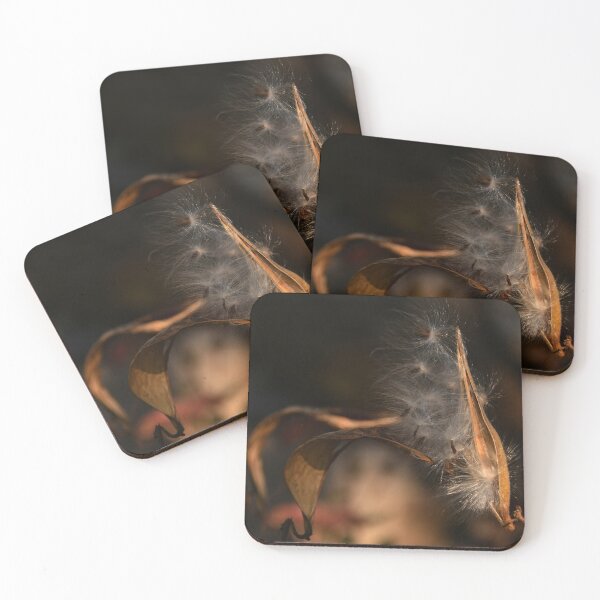 Item preview, The ever artful milkweed seed pod !!! designed and sold by Poete100.