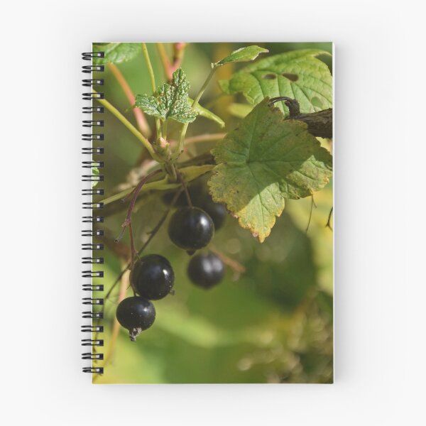 Item preview, Black Currant designed and sold by svehex.