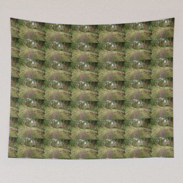 Item preview, Track through Lerderderg Gorge, Victoria, Australia designed and sold by EdsMum.