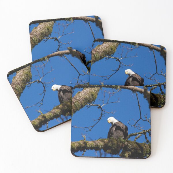 Item preview, Perching Eagle designed and sold by couragesings.