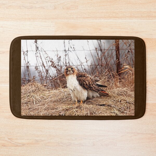 Item preview, Red Tailed Hawk In The Field designed and sold by Debbie Oppermann.