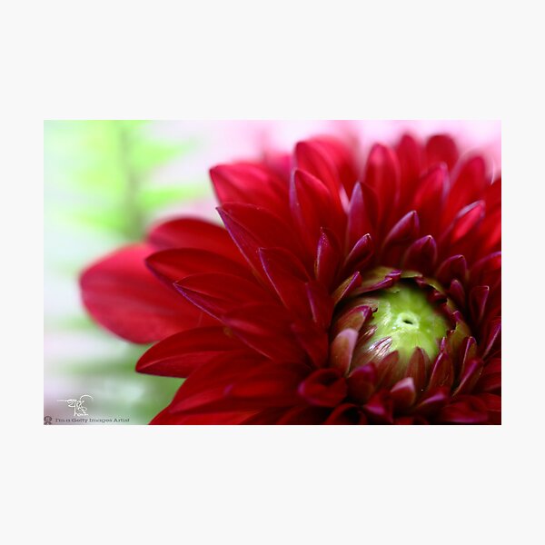 Item preview, Untold Story  designed and sold by HamimCHOWDHURY.