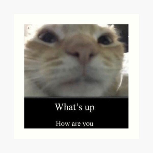 What S Up Cat Meme Art Print By Goath Redbubble