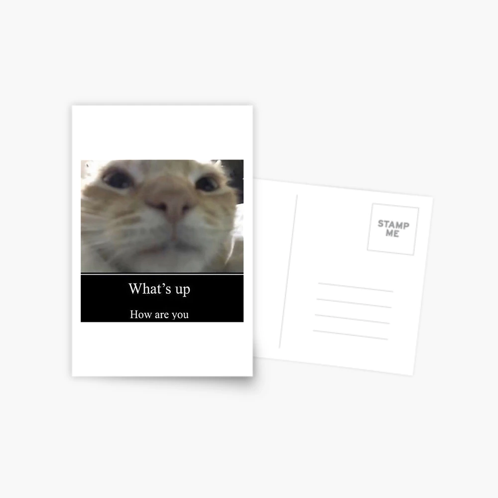 Cat loading icon meme Postcard for Sale by Goath