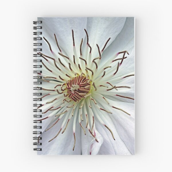 Item preview, White Clematis designed and sold by Debbie Oppermann.