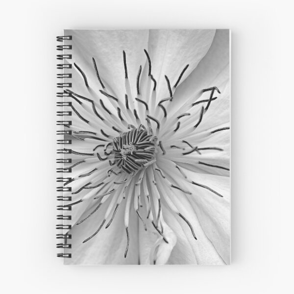 Item preview, Clematis White designed and sold by Debbie Oppermann.