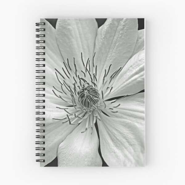 Item preview, Clematis Black And White designed and sold by Debbie Oppermann.
