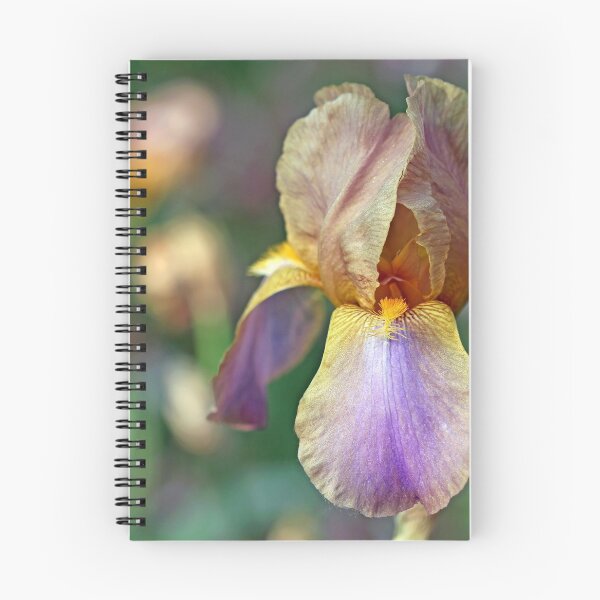 Item preview, Baditude Iris designed and sold by Debbie Oppermann.