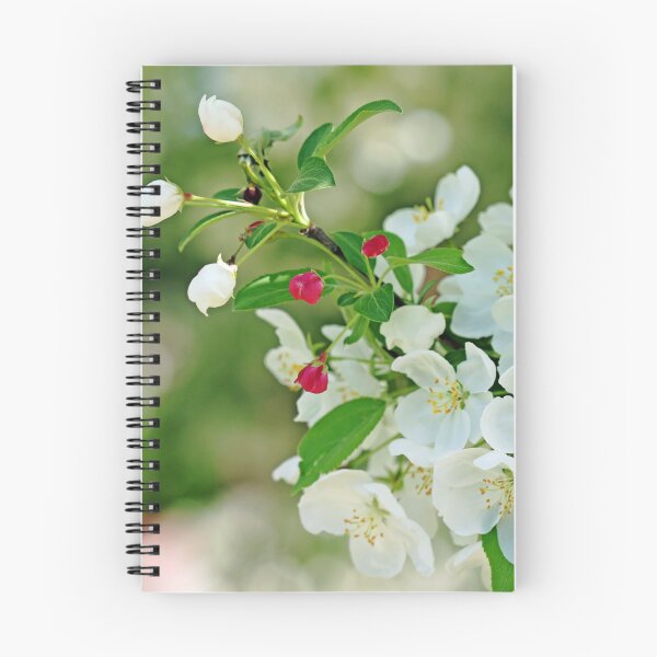 Item preview, Crabapple Blossoms designed and sold by Debbie Oppermann.