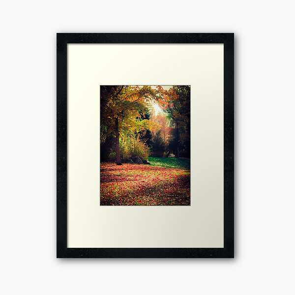 Item preview, Autumn Colors designed and sold by Photosbybrooke.