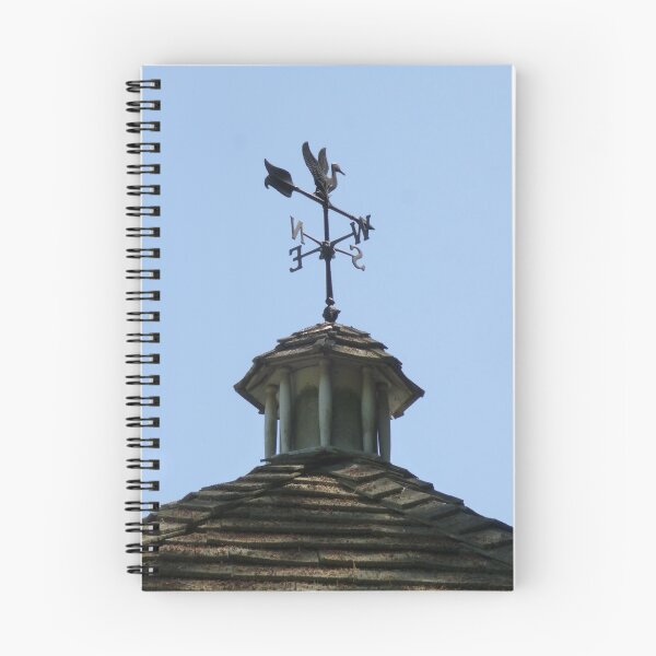 Item preview, The Duck Vane designed and sold by WildestArt.
