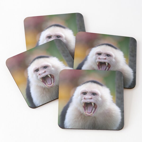 Item preview, Angry Capuchin Monkey designed and sold by mlorenz.
