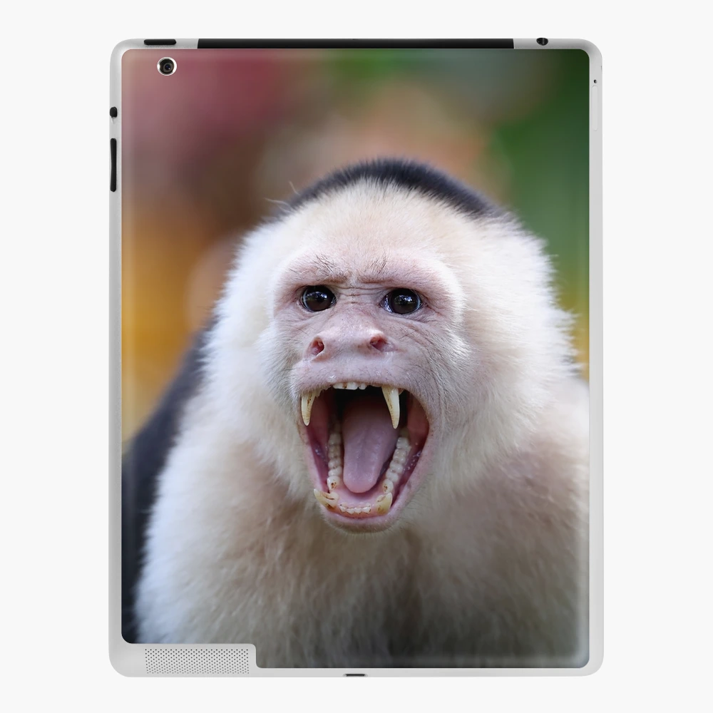 Laughing Monkey Saying Hii iPad Case & Skin for Sale by Ani1111