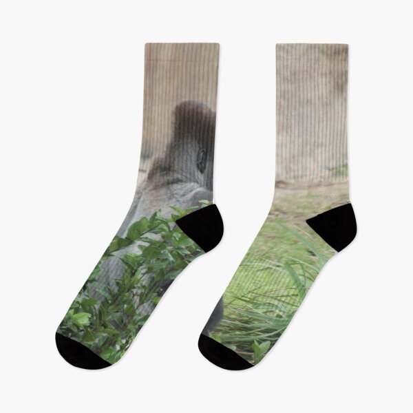 Item preview, Jim designed and sold by Bob Hardy.