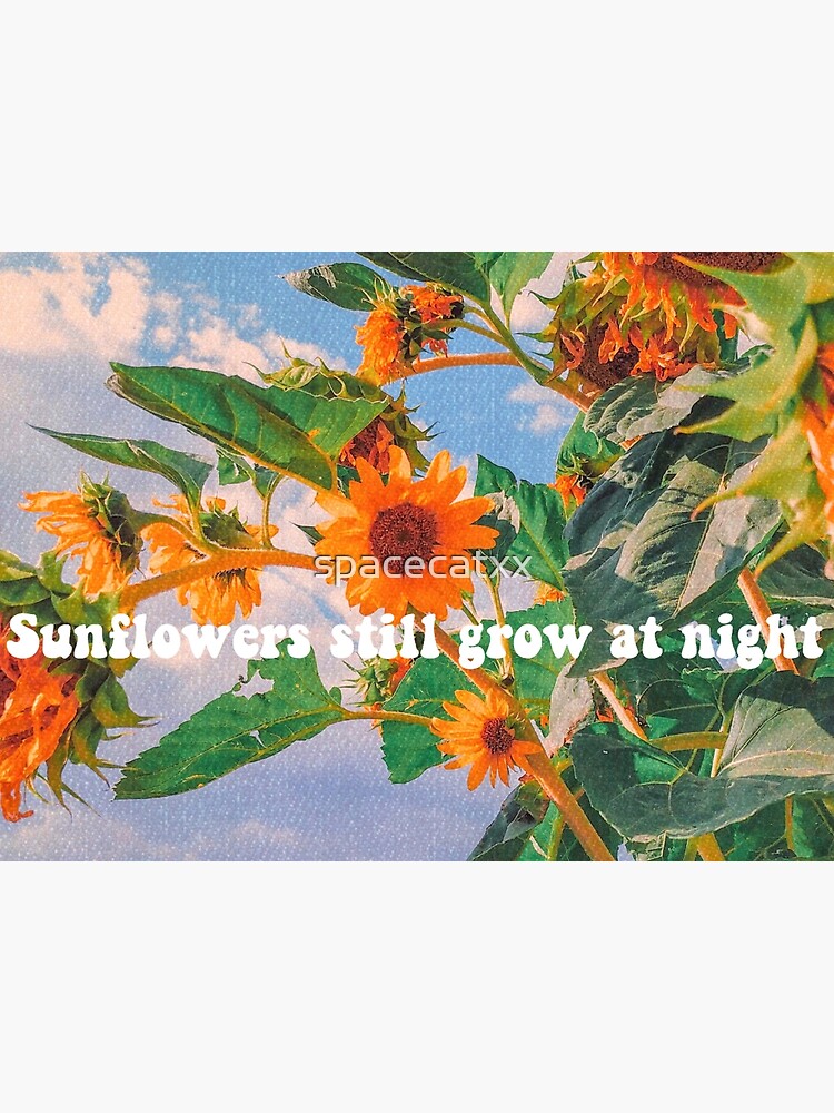 "Sunflowers still grow at night" Poster for Sale by spacecatxx Redbubble
