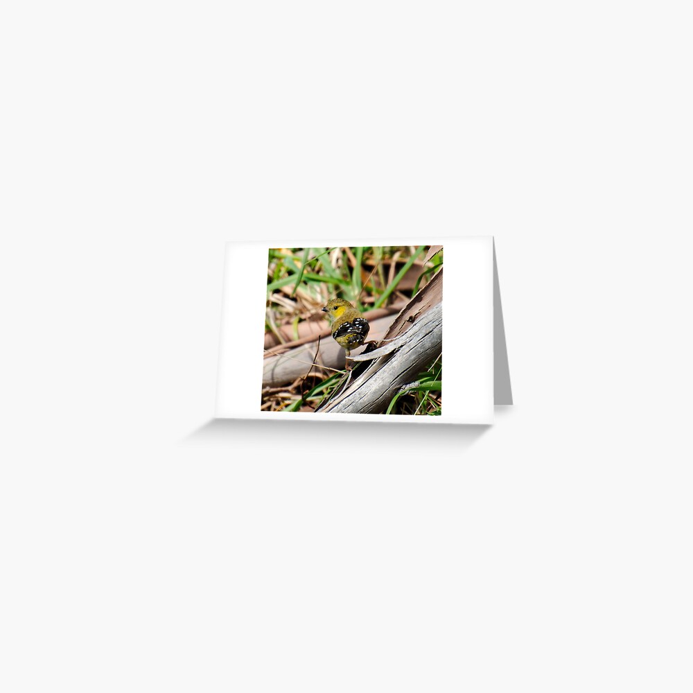 Item preview, Greeting Card designed and sold by tasmanianartist.