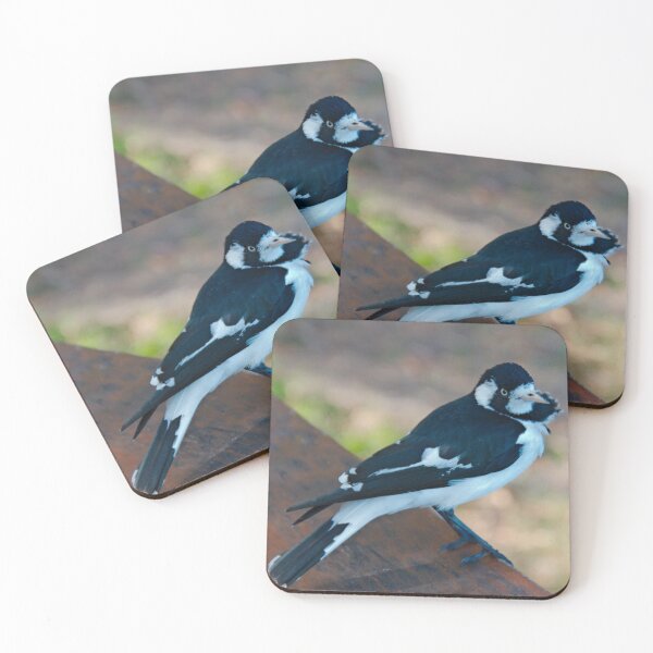 Item preview, WO ~ SC ~ FANTAIL ~ MAGPIE ~ Magpie-Lark PMGPK377 by David Irwin 041119 designed and sold by tasmanianartist.