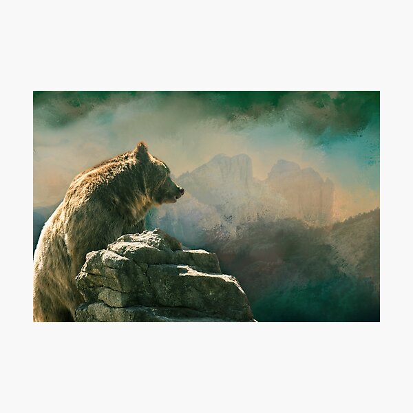 I'm Goin' Over There, Montana Grizzly Photographic Print