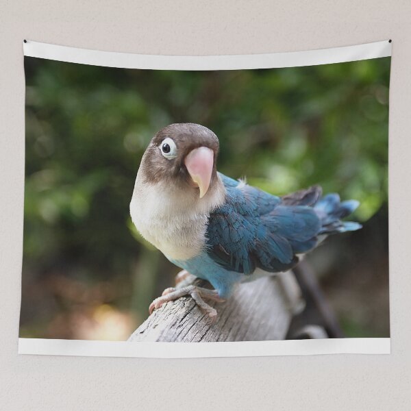 Item preview, Lovebird  designed and sold by zzsuzsa.