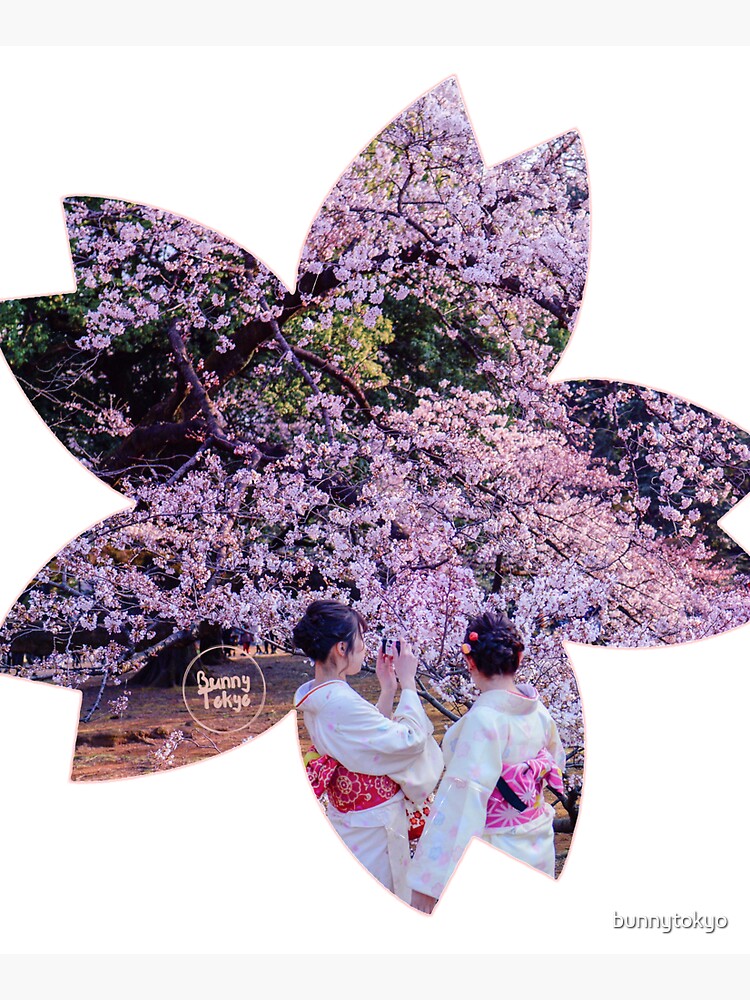 Hanami in Tokyo - Sakura by bunnytokyo