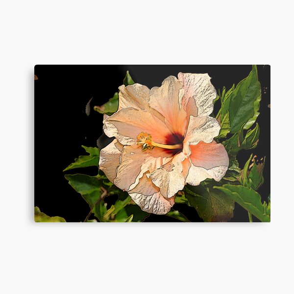 hight Metal Print