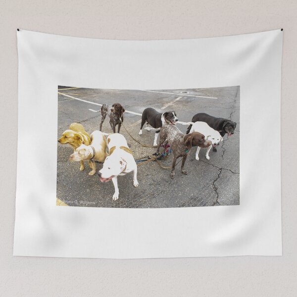 Item preview, Eight Dogs & Leashes designed and sold by bqwphotography.