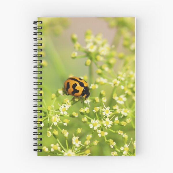 Item preview, Ladybird on Parsley designed and sold by NakedSunday.